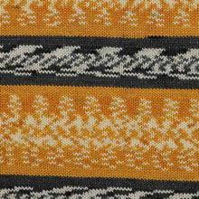 Load image into Gallery viewer, King Cole Fjord DK wool yarn self patterning mock fair-isle 100g Halsa