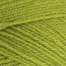 Load image into Gallery viewer, Stylecraft Special DK Wool Double Knitting and Crochet Yarn - Acrylic - 100g