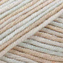 Load image into Gallery viewer, Patons Smoothie DK acrylic wool/yarn 100g - Cream Mix (2100)
