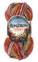 Load image into Gallery viewer, King Cole Hedgerow Chunky Acrylic Knitting Crochet Yarn Wool 200g