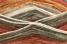 Load image into Gallery viewer, King Cole Bramble DK Acrylic Knitting Wool Yarn Self Patterning - 100g