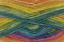 Load image into Gallery viewer, King Cole Bramble DK Acrylic Knitting Wool Yarn Self Patterning - 100g