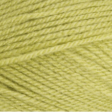 Load image into Gallery viewer, Stylecraft Special DK Wool Double Knitting and Crochet Yarn - Acrylic - 100g