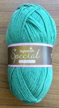 Load image into Gallery viewer, Stylecraft Special DK Wool Double Knitting and Crochet Yarn - Acrylic - 100g