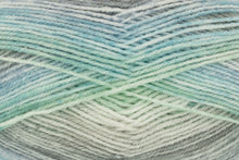 Load image into Gallery viewer, King Cole Bramble DK Acrylic Knitting Wool Yarn Self Patterning - 100g