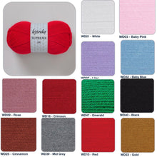 Load image into Gallery viewer, WENDY WOOLS Supreme DK Yarn 100g (100% Premium Acrylic) 12 Shades