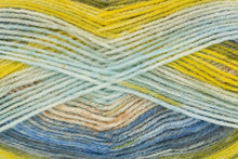 Load image into Gallery viewer, King Cole Bramble DK Acrylic Knitting Wool Yarn Self Patterning - 100g