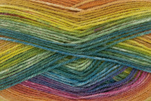 Load image into Gallery viewer, King Cole Bramble DK Acrylic Knitting Wool Yarn Self Patterning - 100g
