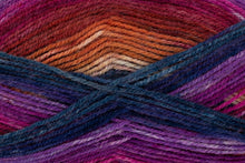Load image into Gallery viewer, King Cole Bramble DK Acrylic Knitting Wool Yarn Self Patterning - 100g