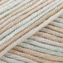 Load image into Gallery viewer, Patons Smoothie DK acrylic wool/yarn 100g - Cream Mix (2100)