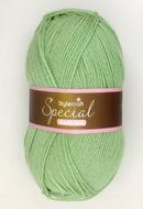 Stylecraft Special DK Wool Double Knitting & Crochet Yarn 100g Lincoln