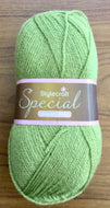 Stylecraft Special DK Wool Double Knitting & Crochet Yarn 100g Meadow