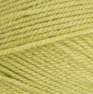 Stylecraft Special DK Wool Double Knitting & Crochet Yarn 100g Pistachio 
