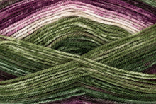 Load image into Gallery viewer, King Cole Bramble DK Acrylic Knitting Wool Yarn Self Patterning - 100g
