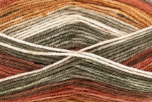 Load image into Gallery viewer, King Cole Bramble DK Acrylic Knitting Wool Yarn Self Patterning - 100g
