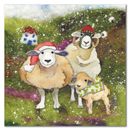 Emma Ball Christmas Cards  Felted Sheep - Pack of 6 (XM93)