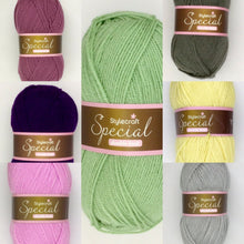 Load image into Gallery viewer, Stylecraft Special DK Wool Double Knitting and Crochet Yarn  -  Acrylic - 100g
