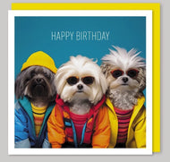 Birthday Greetings Card Dogs Funny Humorous