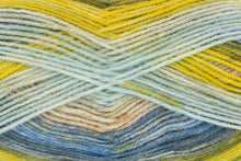 Load image into Gallery viewer, King Cole Bramble DK Acrylic Knitting Wool Yarn Self Patterning - 100g
