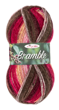 Load image into Gallery viewer, King Cole Bramble DK Acrylic Knitting Wool Yarn Self Patterning - 100g
