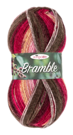 King Cole Bramble DK Acrylic Knitting Wool Yarn Self Patterning - 100g