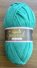 Load image into Gallery viewer, Stylecraft Special DK Wool Double Knitting and Crochet Yarn  -  Acrylic - 100g
