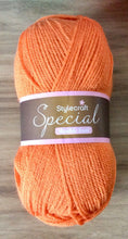 Load image into Gallery viewer, Stylecraft Special DK Wool Double Knitting and Crochet Yarn  -  Acrylic - 100g
