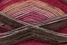 Load image into Gallery viewer, King Cole Bramble DK Acrylic Knitting Wool Yarn Self Patterning - 100g
