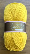 Load image into Gallery viewer, Stylecraft Special DK Wool Double Knitting and Crochet Yarn  -  Acrylic - 100g
