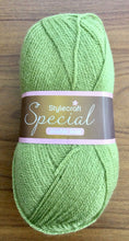 Load image into Gallery viewer, Stylecraft Special DK Wool Double Knitting and Crochet Yarn  -  Acrylic - 100g
