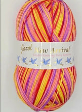 Load image into Gallery viewer, Jarol New Arrival Randoms DK Double Knitting Yarn Baby Wool, 200g Ball
