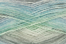 Load image into Gallery viewer, King Cole Bramble DK Acrylic Knitting Wool Yarn Self Patterning - 100g
