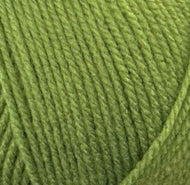 Stylecraft Special DK Wool Double Knitting & Crochet Yarn 100g Leaf