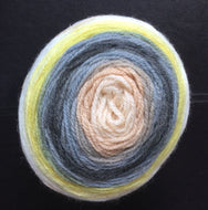 Sirdar Colourwheel DK Double knitting wool yarn cake 150g - 206 desert storm