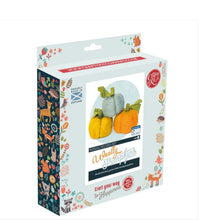 Load image into Gallery viewer, The Crafty Kit Company Woolly Pumpkins Needle Felting Kit
