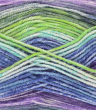 Load image into Gallery viewer, King Cole Bramble DK Acrylic Knitting Wool Yarn Self Patterning - 100g
