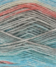 Load image into Gallery viewer, King Cole Bramble DK Acrylic Knitting Wool Yarn Self Patterning - 100g
