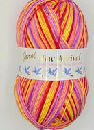 Jarol New Arrival Randoms Baby DK Yarn Wool, 200g Ball Hawaii