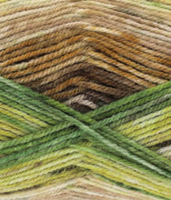 Load image into Gallery viewer, King Cole Bramble DK Acrylic Knitting Wool Yarn Self Patterning - 100g
