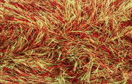 King Cole Tinsel Chunky Eyelash Knitting Yarn Sparkly Glitter Wool Ginger Spice