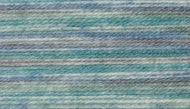 James C Brett Stonewash DK Acrylic Wool/Yarn 100g Shade SW10 - Multicoloured