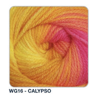 Wendy GIGGLES DK Acrylic Multicolour Multi-tonal Baby Knitting Yarn 100g WG16